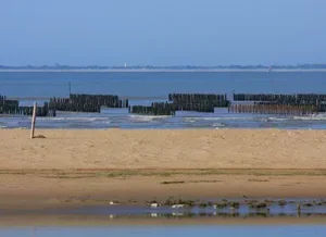 paysage côtier avec élevage de coquillages dans la mer