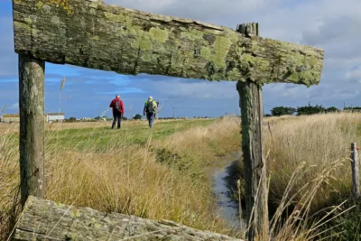 paysage de marais avec 2 personnes qui de dos