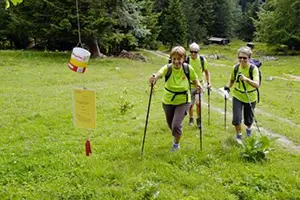 personnes qui marchent et s'amusent