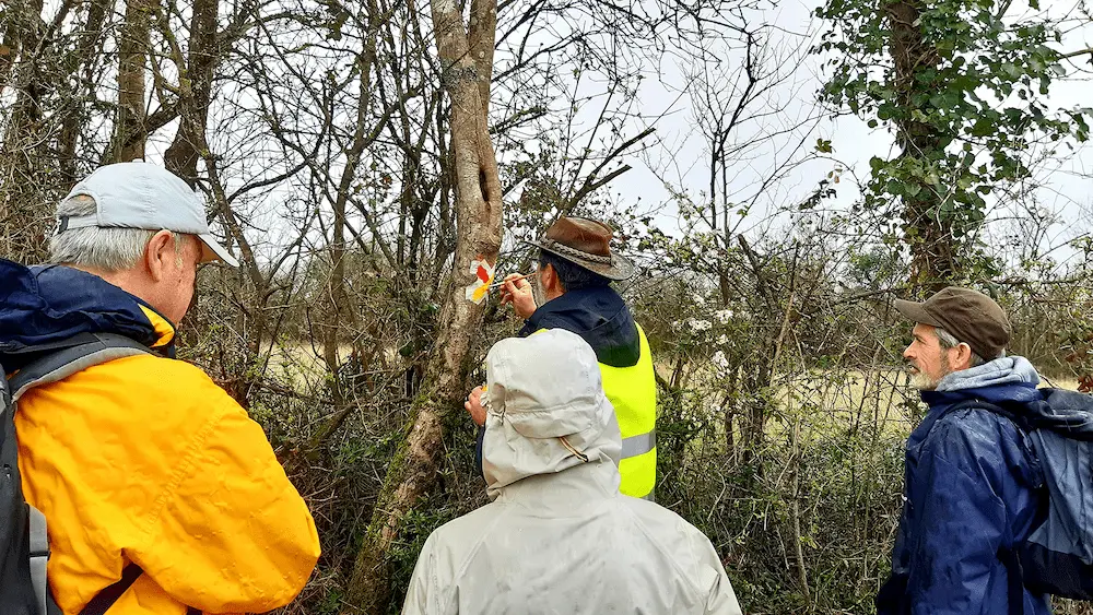 une personne peint une balise sur un arbre, entourée d'un groupe d'autres personnes