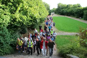 groupe de personnes pratiquant la marche dans un parc
