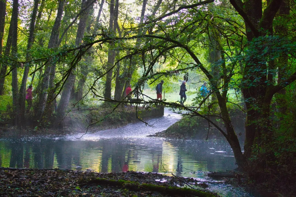 randonneurs dans la forêt